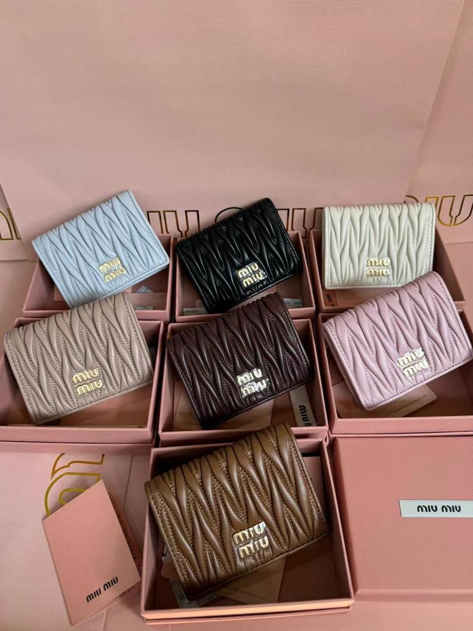 محافظ Miu Miu 